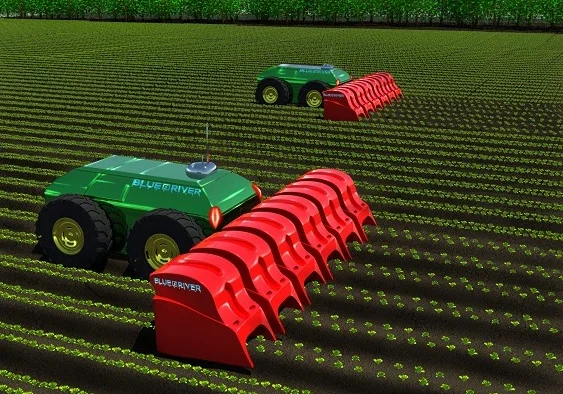 Field1.jpg