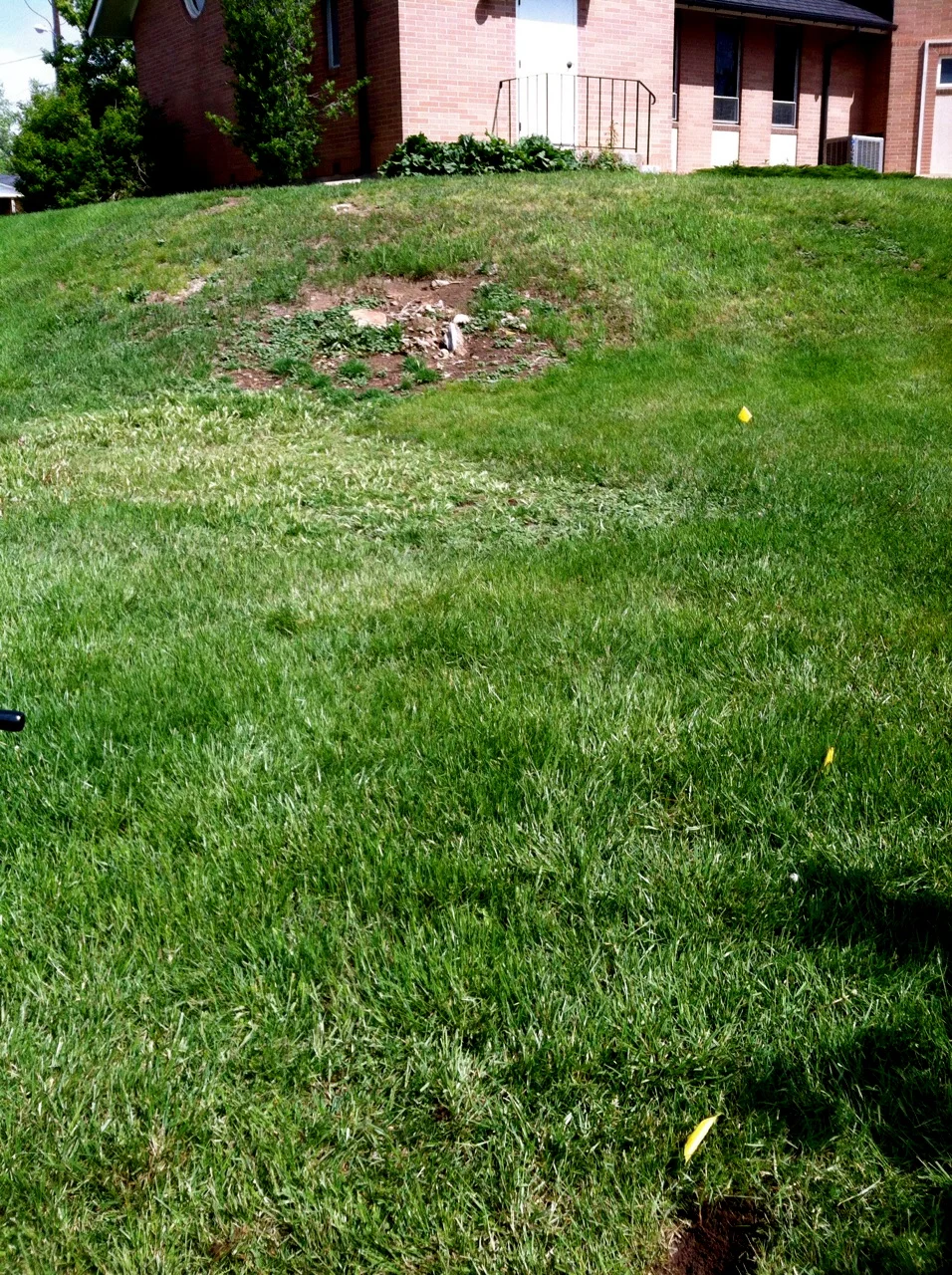 New Garden At Holy Trinity photo 1