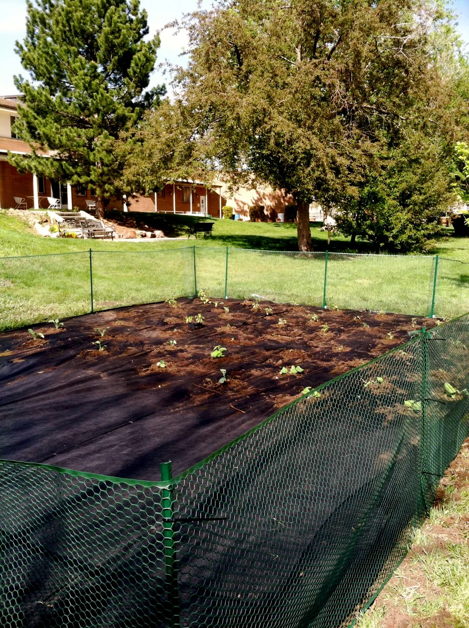 New Garden At Holy Trinity photo 6