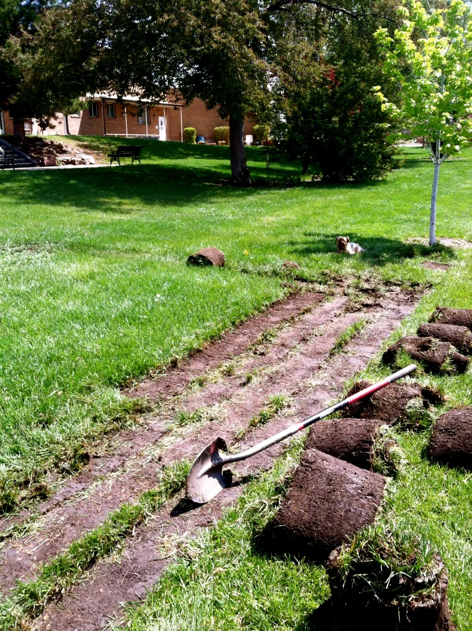 New Garden At Holy Trinity photo 8