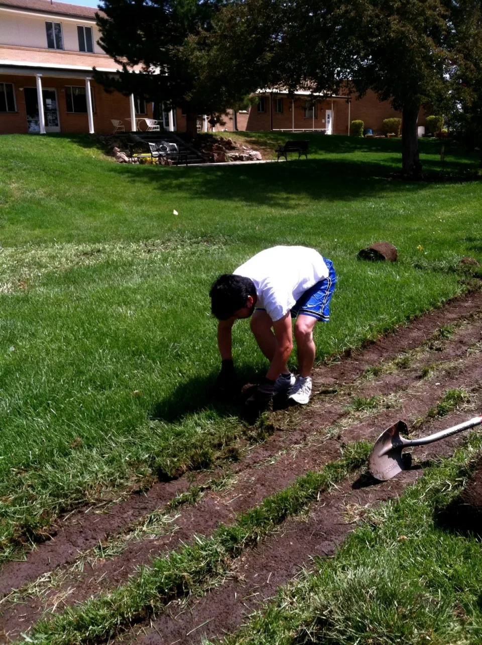 New Garden At Holy Trinity photo 9