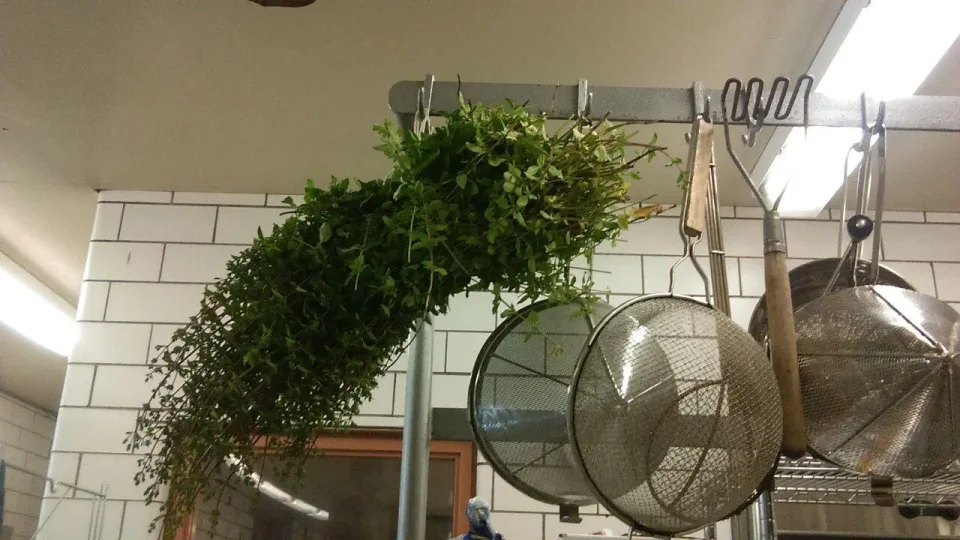 IMAG0562.jpg