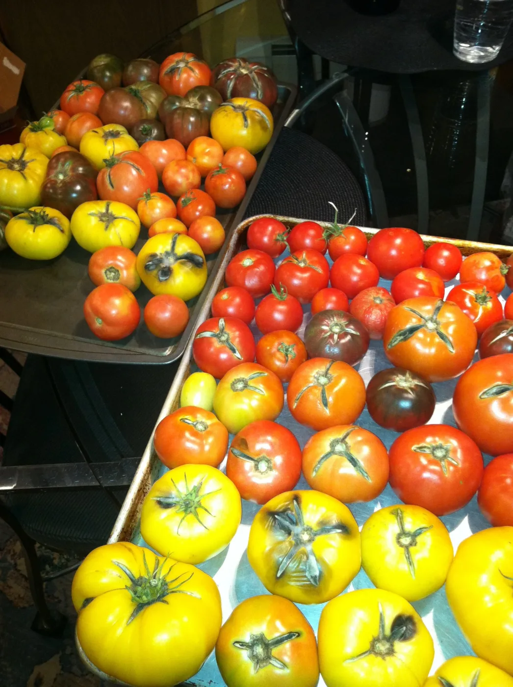 Tray of vine-ripened tomatoes from the garden harvest