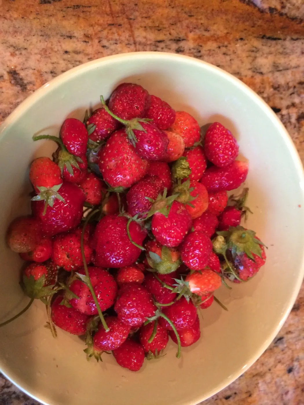 Bowl of fresh-picked strawberries