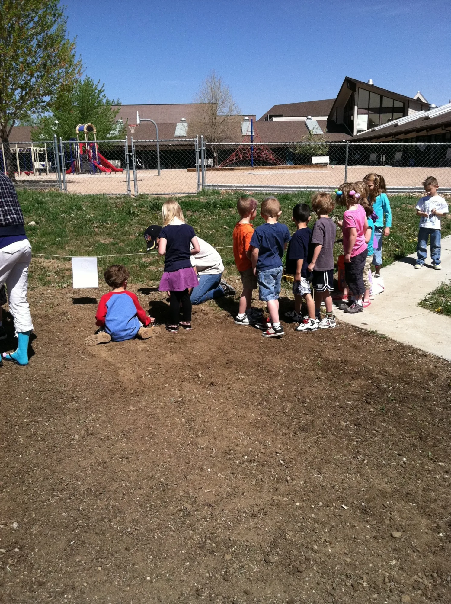 Schoolchildren planting in the My Kids Lunch garden beds