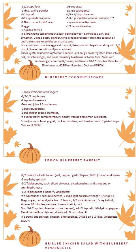 Recipe card: Blueberry Coconut Scones, Lemon Blueberry Parfait & Grilled Chicken Salad with Blueberry Vinaigrette